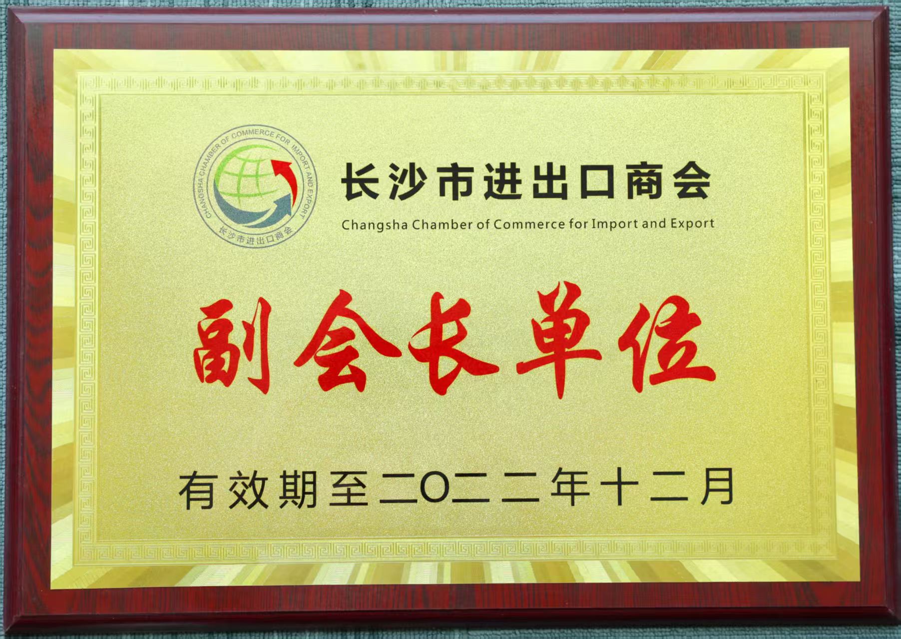 长沙市进出口商会副会长单位